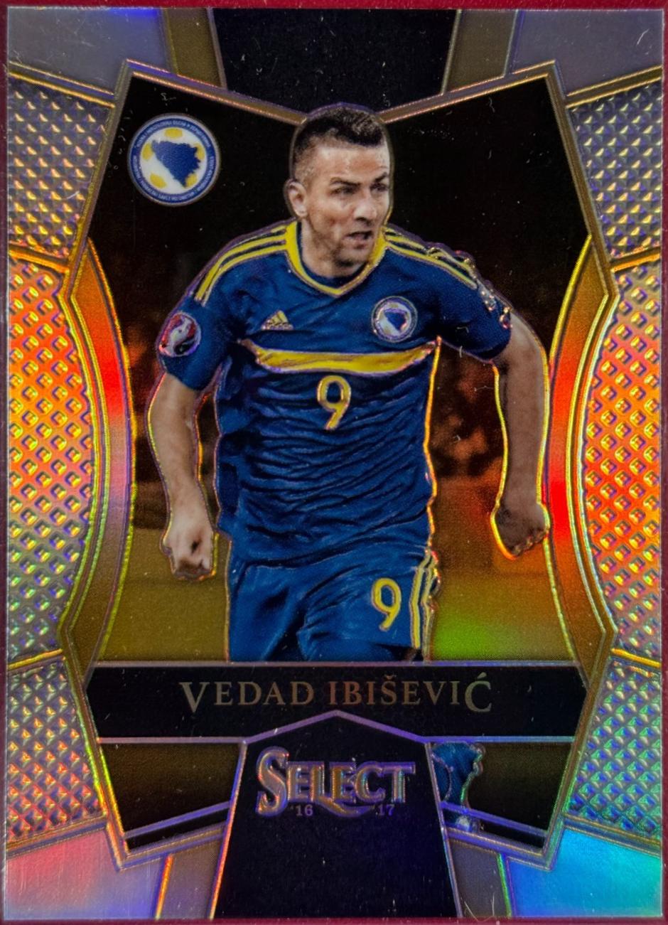 Vedad Ibisevic [Silver Prizm] #113