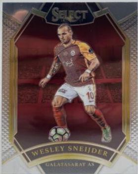 Wesley Sneijder #273