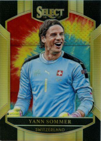 Yann Sommer #8
