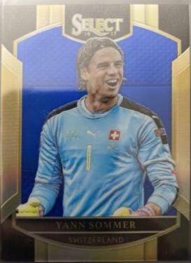 Yann Sommer [Blue Prizm] #8