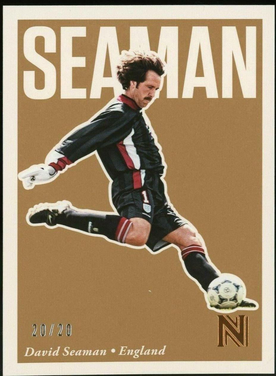 David Seaman [Bronze] #27