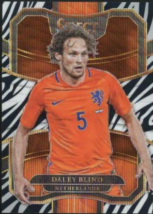 Daley Blind [Zebra] #27