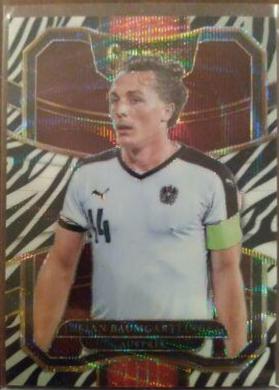 Julian Baumgartlinger [Zebra] #34