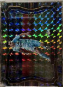 Lionel Messi [Camo] #255