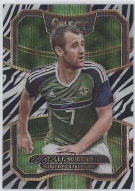 Niall McGinn [Zebra] #86