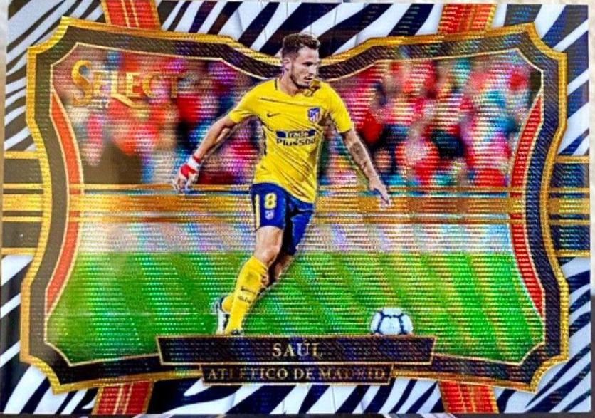 Saul [Zebra] #243