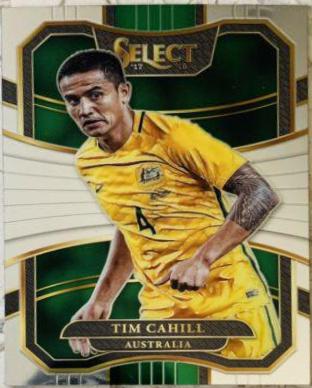 Tim Cahill #83