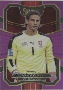 Yann Sommer #51