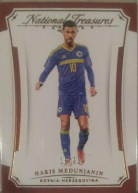 Haris Medunjanin [Bronze] #12