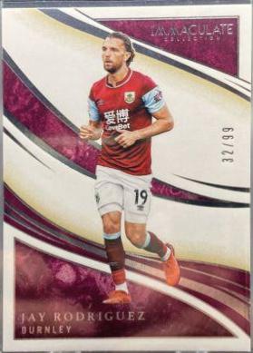 Jay Rodriguez #130