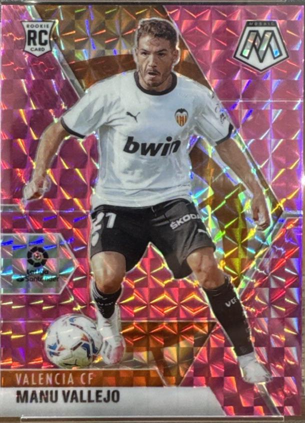 Manu Vallejo [Pink Mosaic] #74