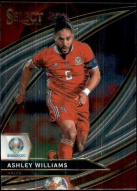 Ashley Williams #196