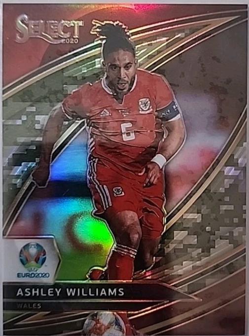 Ashley Williams [Camo Prizm] #196
