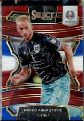 Marko Arnautovic #100