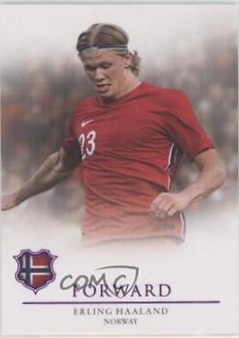 Erling Haaland [Amethyst] #68