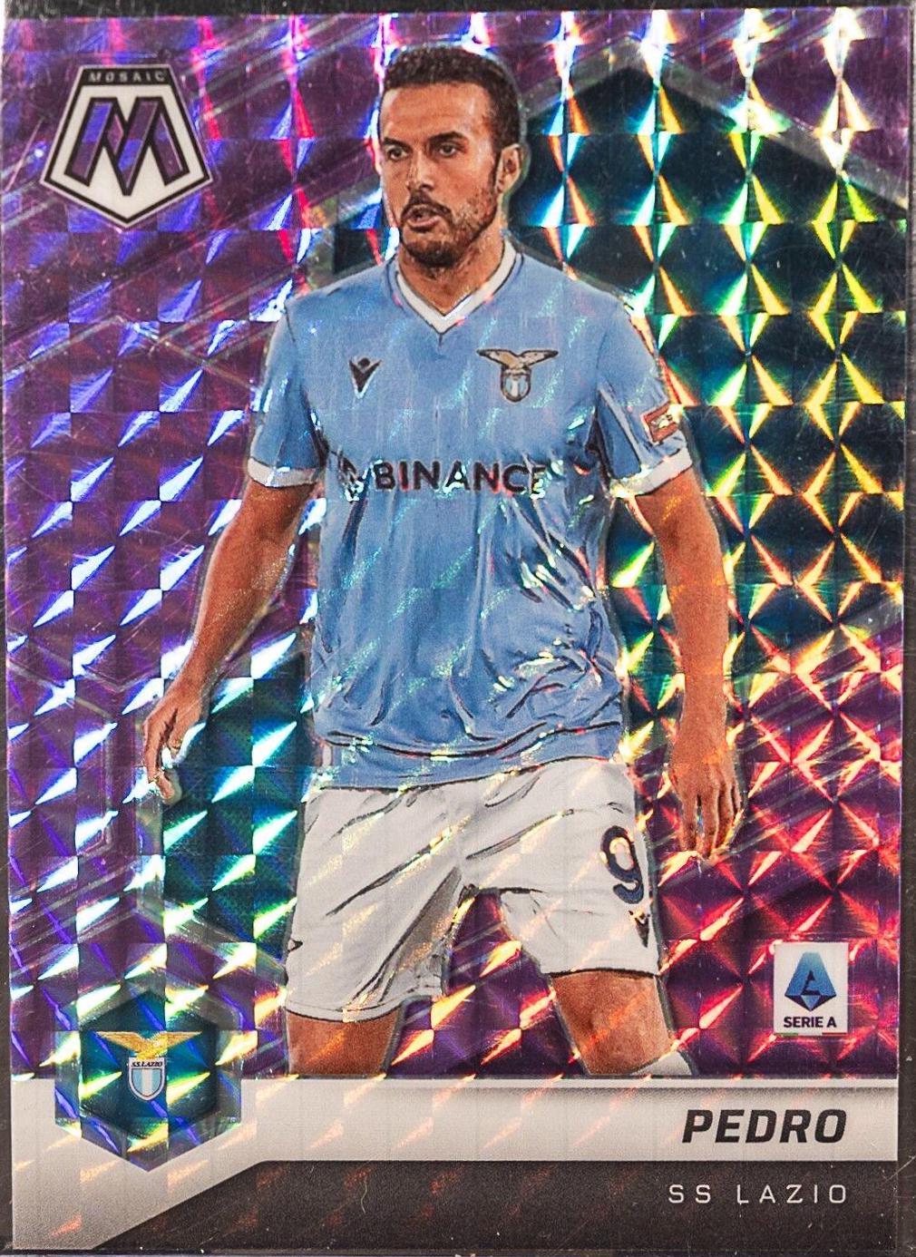 Pedro [Purple Mosaic] #85