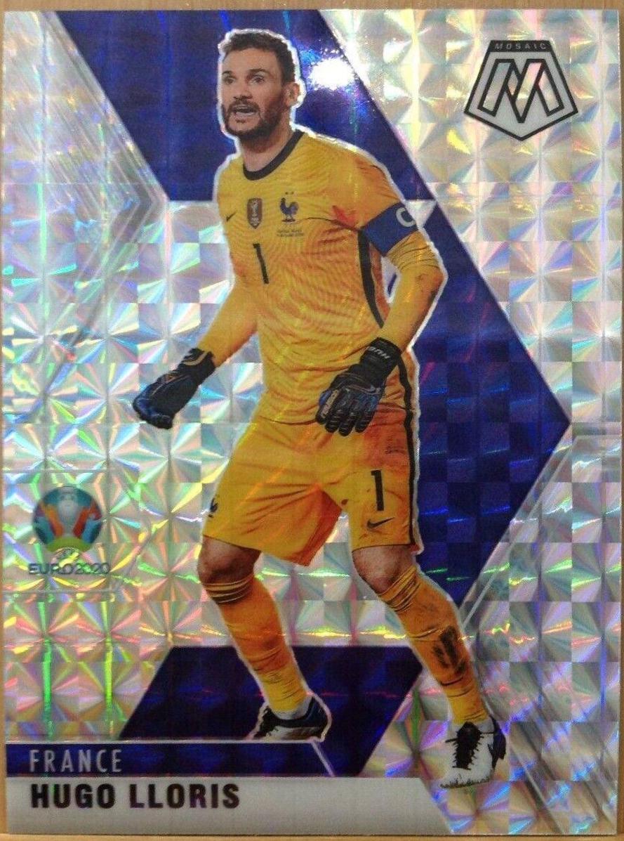 Hugo Lloris [Mosaic] #114