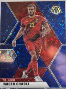 Nacer Chadli [Blue Circle] #14
