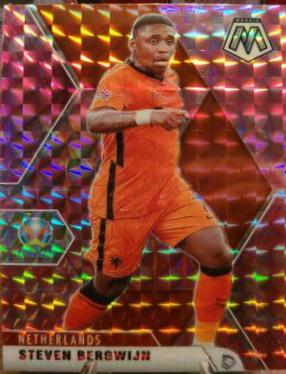 Steven Bergwijn [Camo Pink Mosaic] #144