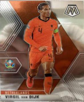 Virgil van Dijk #141