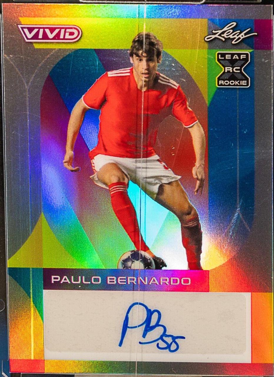 Paulo Bernardo [Gray] #BA-PB1