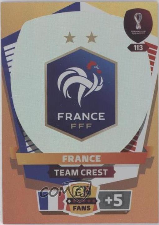 Team Crest #113
