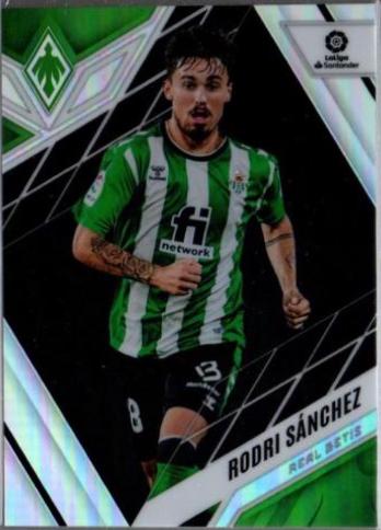 Rodri Sanchez #248