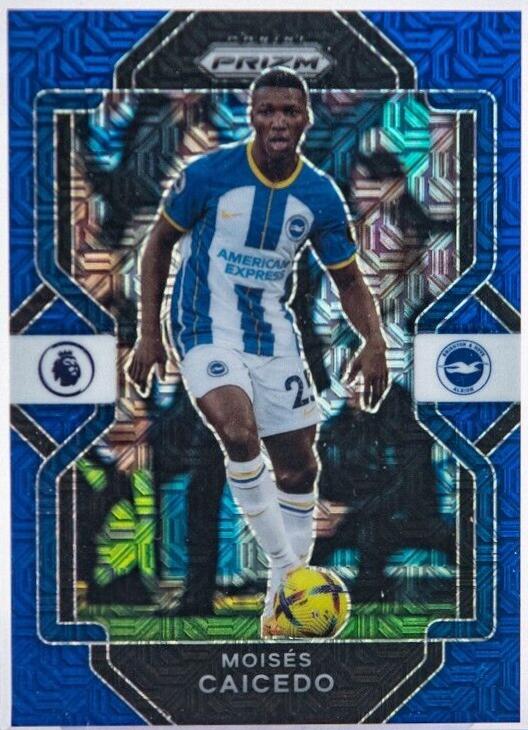Moises Caicedo [Blue Mojo] #211