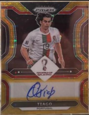 Tiago [Gold] #S-TGO