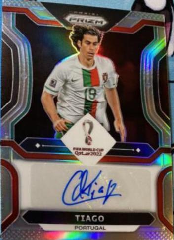 Tiago [Silver] #S-TGO