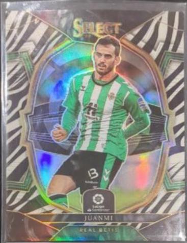 Juanmi [Zebra] #66