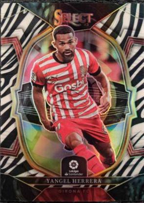Yangel Herrera [Zebra] #45