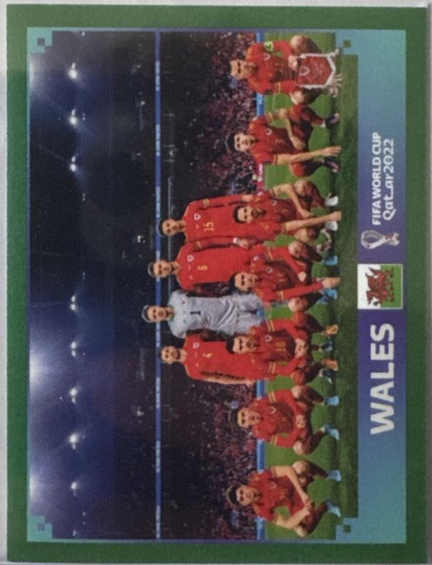 Team Photo [Green] #WAL1