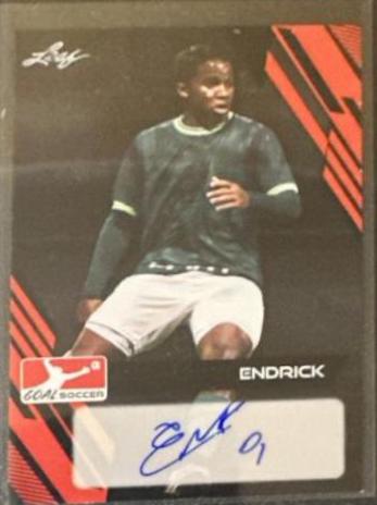 Endrick #BA-E2