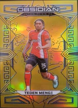 Teden Mengi [Gold Flood Electric Etch] #74