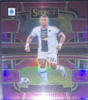 Walace [Purple] #81