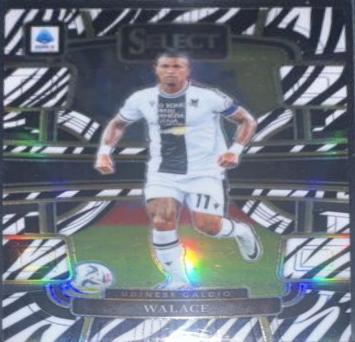 Walace [Zebra] #81