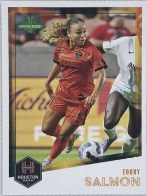 Ebony Salmon #16