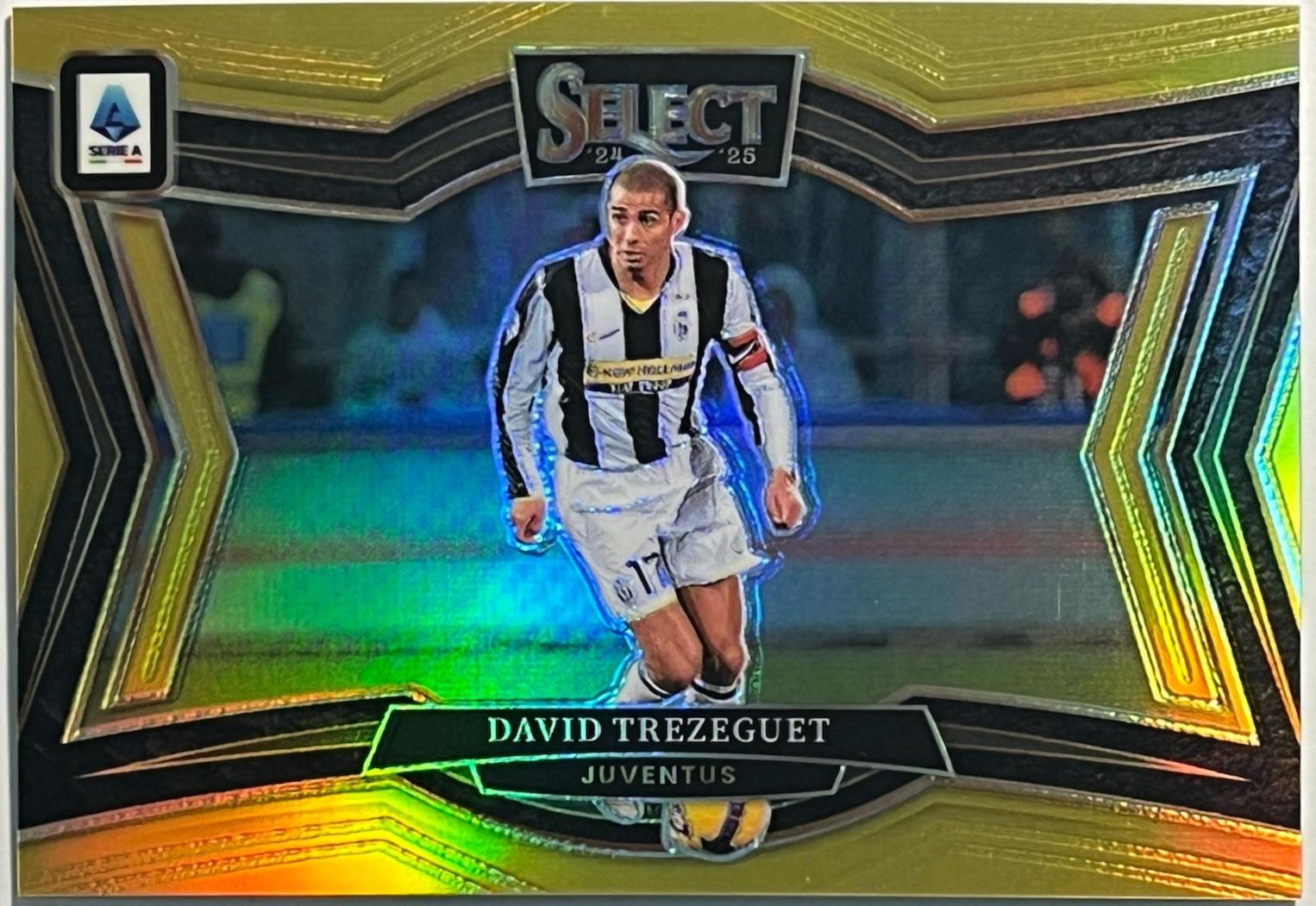 David Trezeguet [Gold] #246