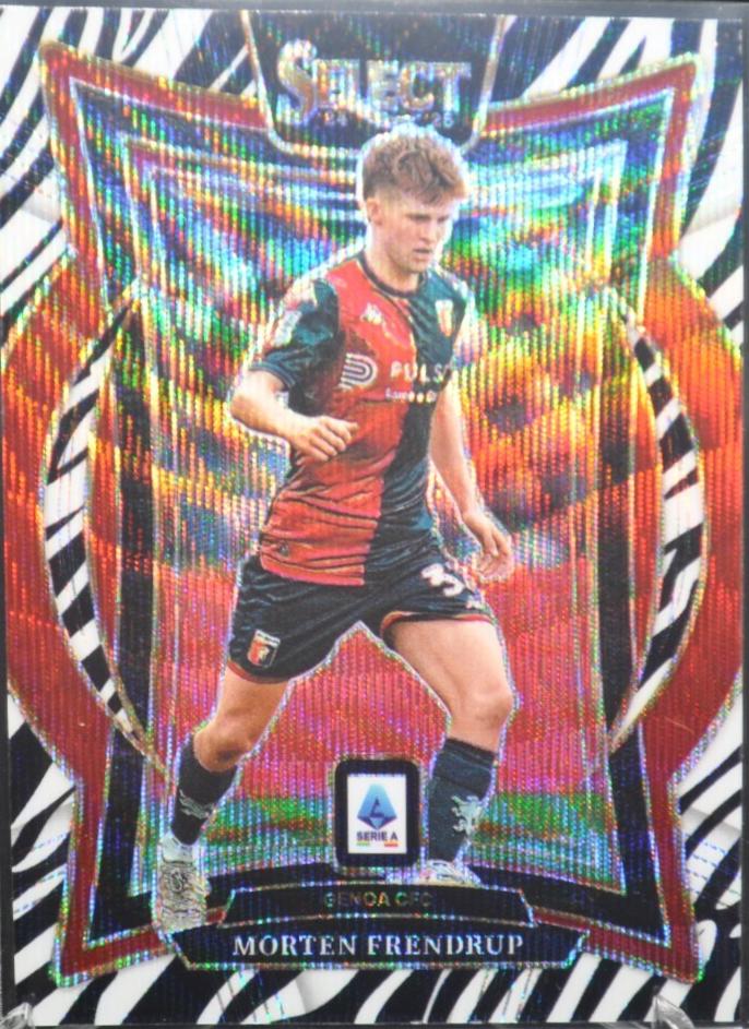 Morten Frendrup [Zebra] #41