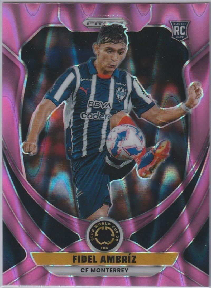 Fidel Ambriz [Pink Seismic] #60