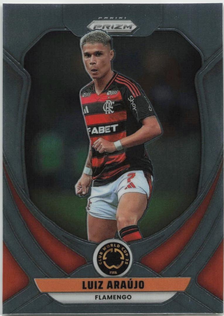 Luiz Araujo #107