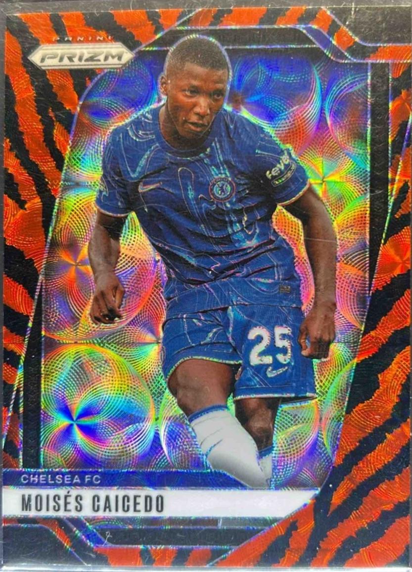 Moises Caicedo [Choice Tiger Stripe] #102