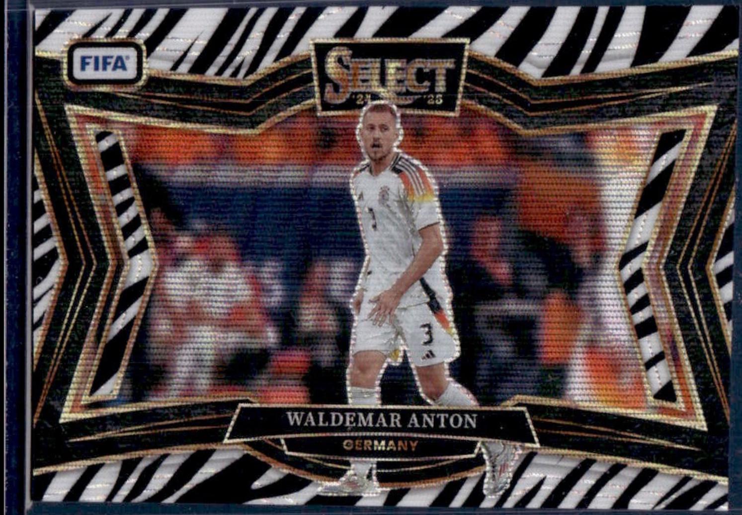 Waldemar Anton [Zebra] #243