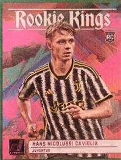 Hans Nicolussi Caviglia [Pink] #5
