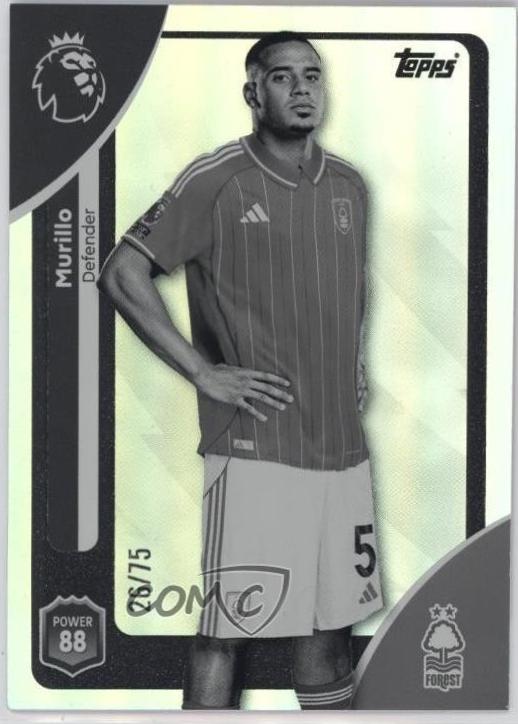 Murillo [Black White Sparkle] #239