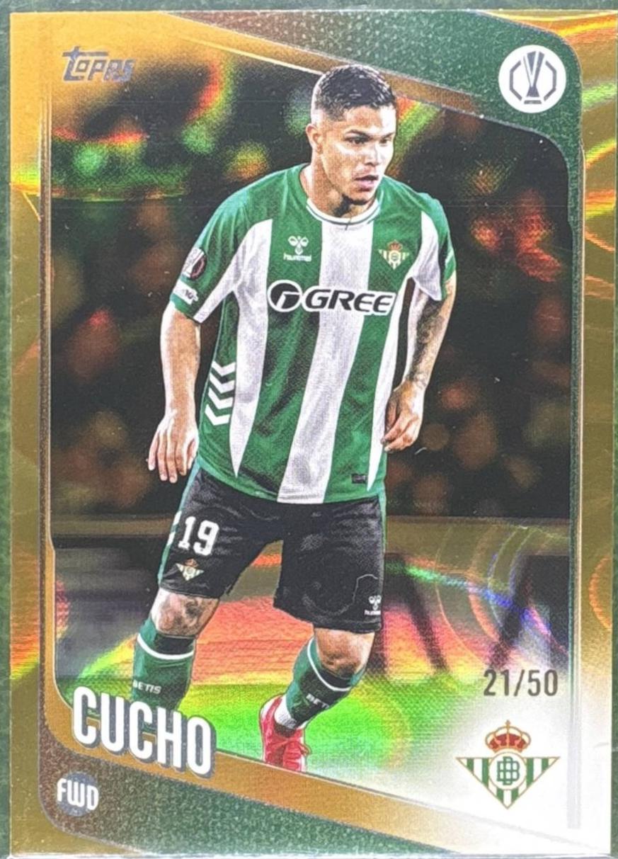 Cucho [Gold Raindrops] #51