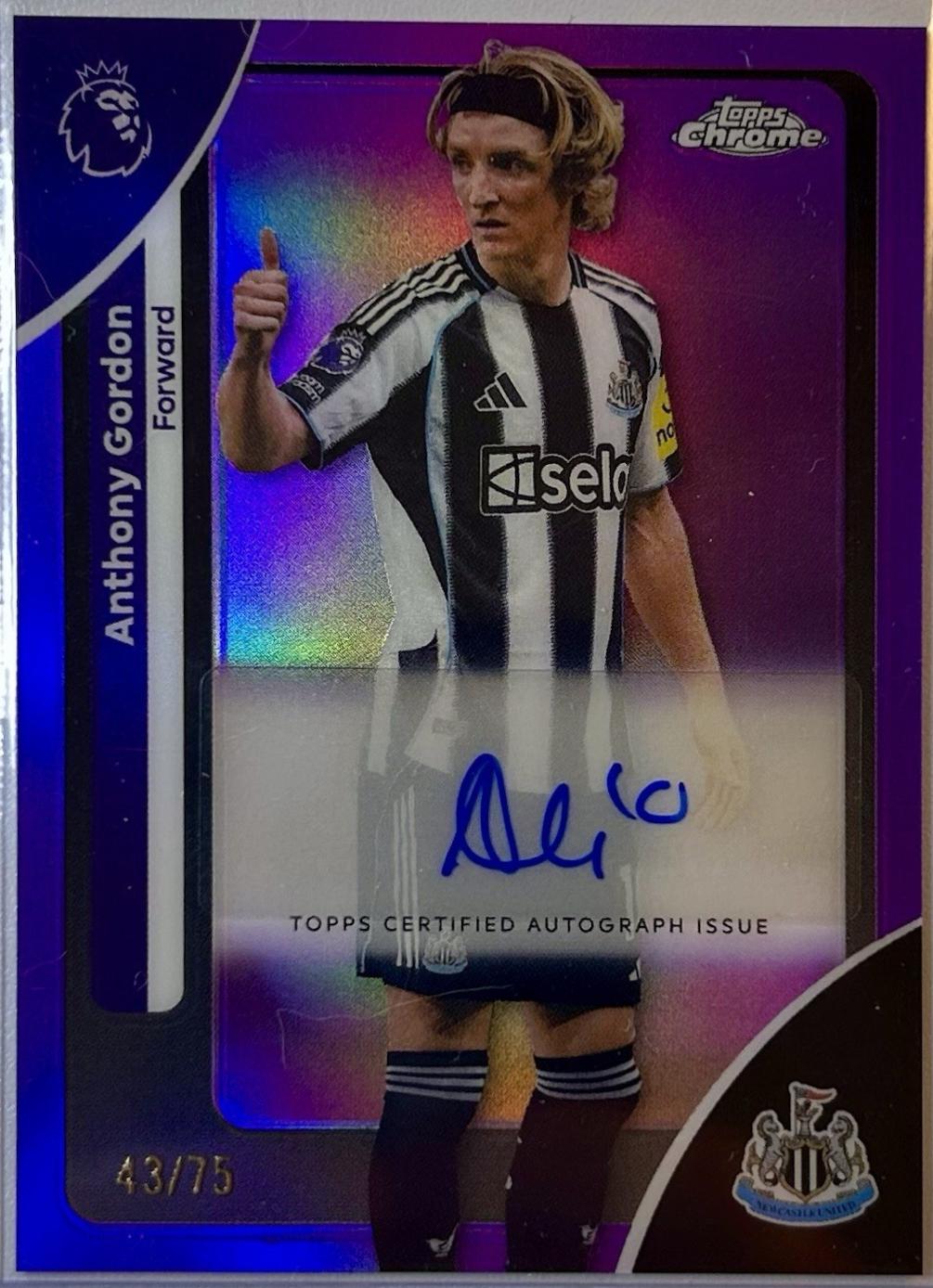 Anthony Gordon [Purple Wave Refractor] #CA-AY
