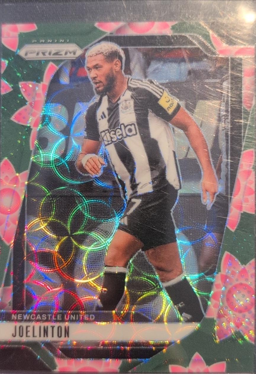 Joelinton [Lotus Flower] #121
