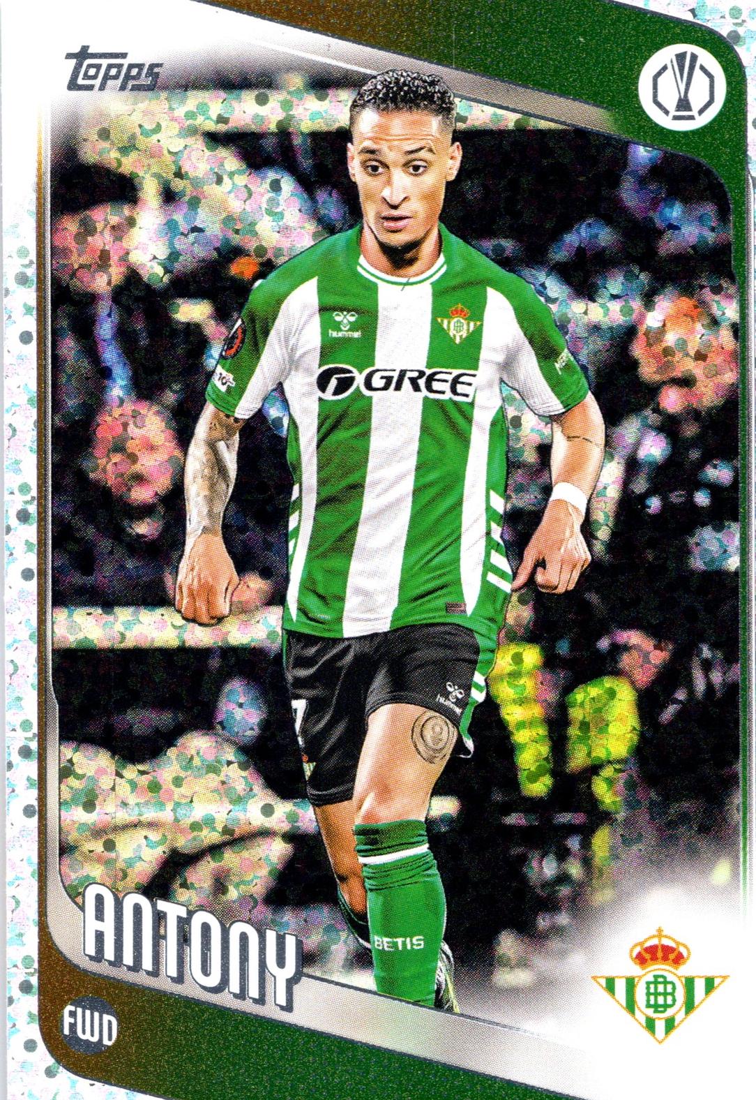 Antony [Aqua Foil] #13